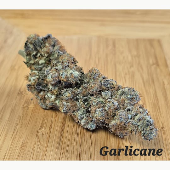 ITF - Garlicane - 1