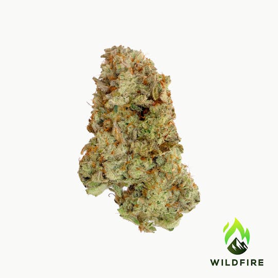 Wildfire - Strawberry Lemonade Flower - 1
