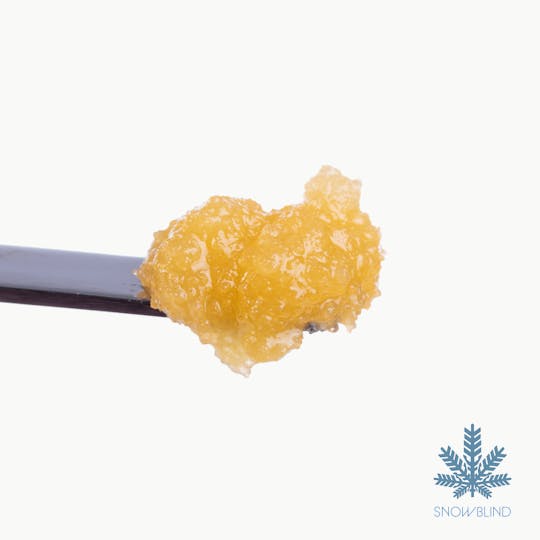 Snowblind Cannabis - Blueberry Muffin Badder - 1