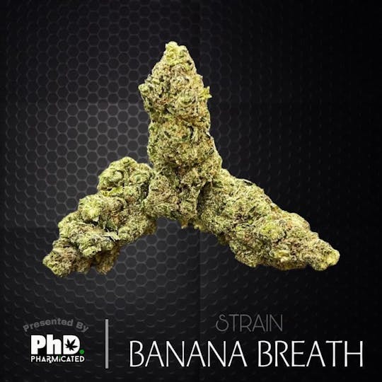 Pharmicated - PhD Indoor Flower - Banana Breath (H) - 1