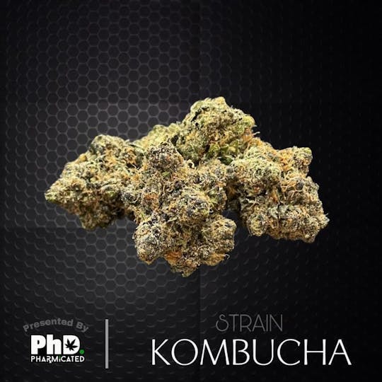 Pharmicated - PhD Indoor Flower - Kombucha (S) - 1