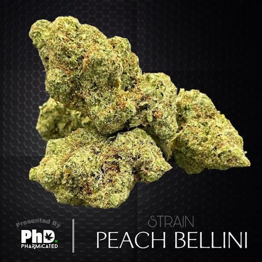 Pharmicated - PhD Indoor Flower - Peach Bellini (I) - 1