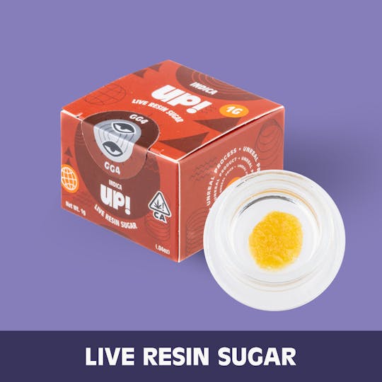 UP! - GG4 (Indica) Live Resin Sugar 1g - 1