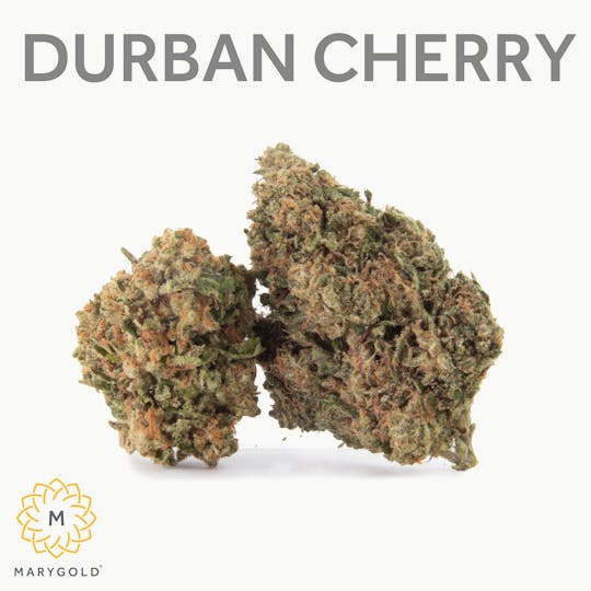 Marygold - Durban Cherry 3.5g (26% THC Sativa) - 1