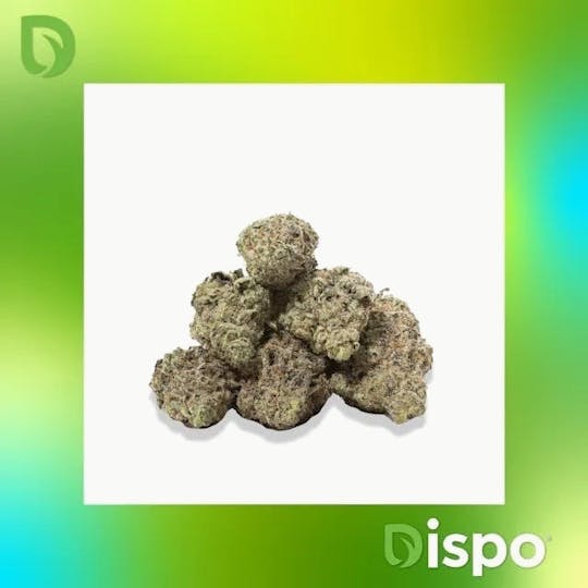 Dispo - Dispo | Buds | 313 OG - 3.5g - 1
