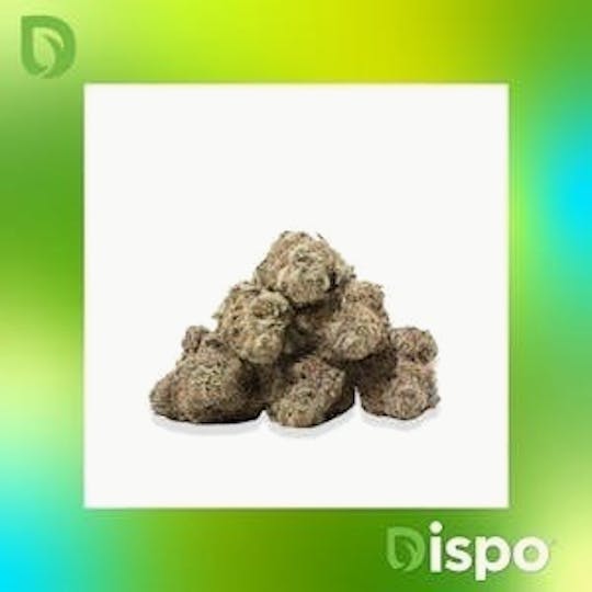 Dispo - Dispo | Buds | Animal Mints - 7g - 1