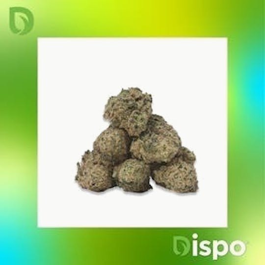 Dispo - Dispo | Buds | Apple Fritter - 2g - 1