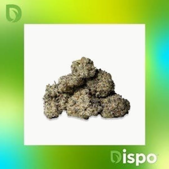 Dispo - Dispo | Buds | Bacio 33 - 10g - 1