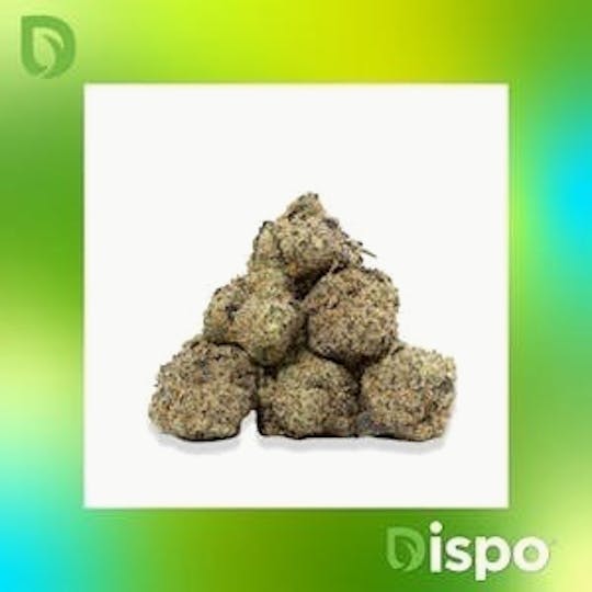 Dispo - Dispo | Buds | Bahama Berry - 14g - 1