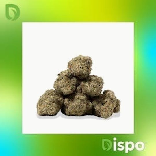 Dispo - Dispo | Buds | Baker's Dozen - 28g - 1