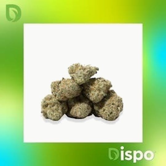 Dispo - Dispo | Buds | Banana Conda - 1g - 1