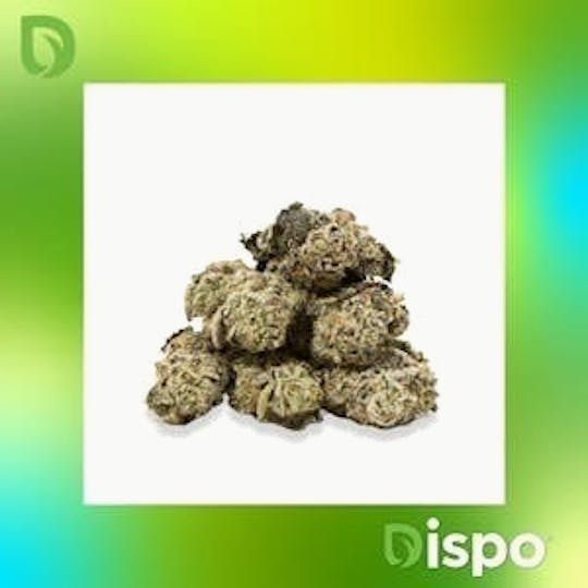 Dispo - Dispo | Buds | Billy Kimber - 28g - 1