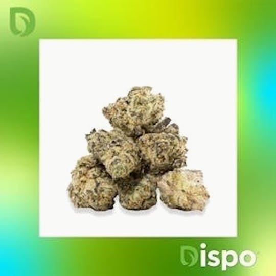 Dispo - Dispo | Buds | Black Cherry Cheesecake - 2g - 1