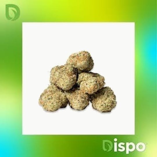 Dispo - Dispo | Buds | Black Rock Lava - 1g - 1