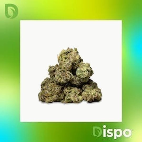 Dispo - Dispo | Buds | Black Sherbert -2g - 1