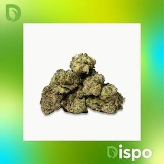 Dispo - Dispo | Buds | Bubble Bath - 1g - 1