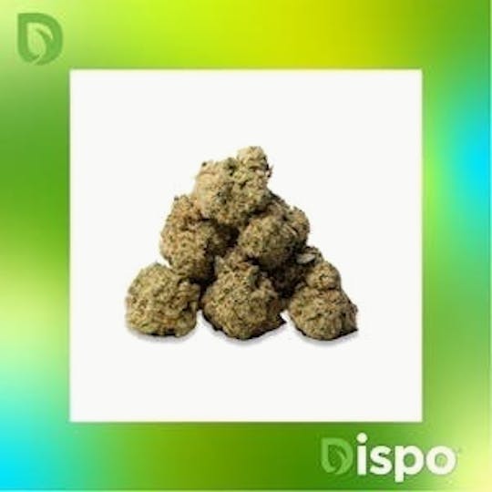 Dispo - Dispo | Buds | Bubble Gum Sherb - 1g - 1