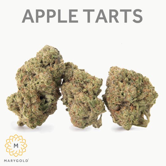 Marygold - Apple Tarts 3.5g (26% THC Hybrid) - 1