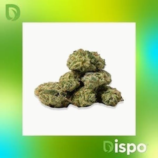 Dispo - Dispo | Buds | Dosilato #8 - 14g - 1