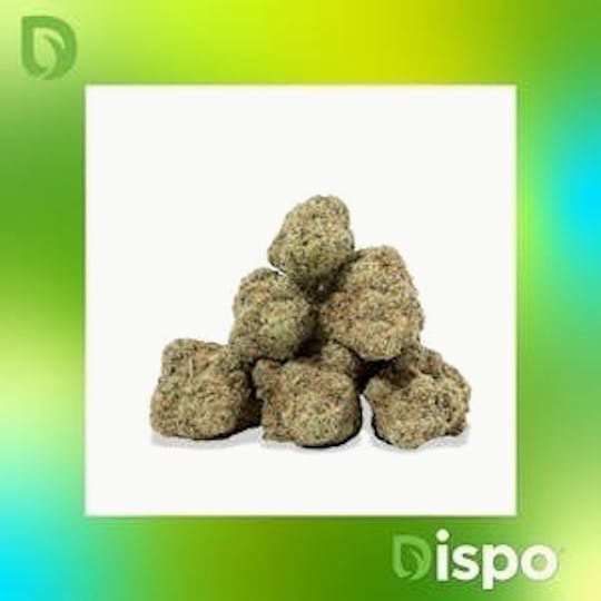 Dispo - Dispo | Buds | Fruit Punch -5g - 1