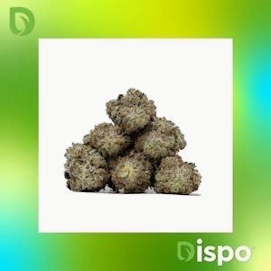 Dispo - Dispo | Buds | Grape Soda - 28g - 1