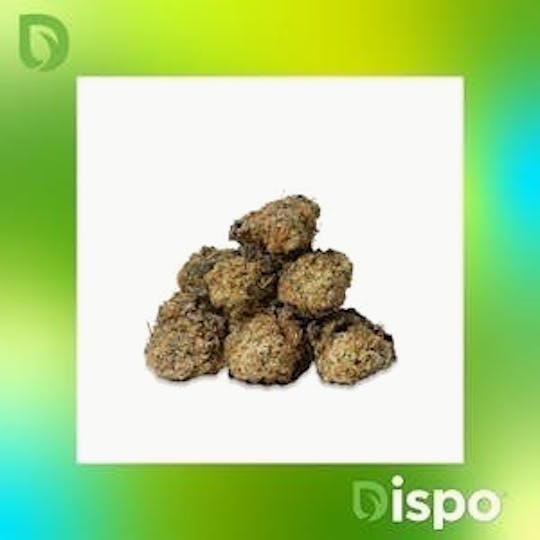 Dispo - Dispo | Buds | Jealous Bananas - 14g - 1