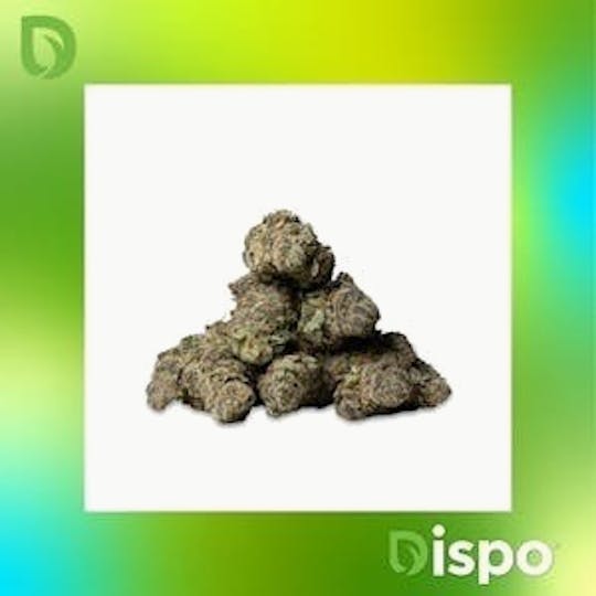 Dispo - Dispo | Buds | Mendo Breath - 3.5g - 1