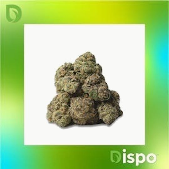Dispo - Dispo | Buds | Mind Kontrol - 2g - 1