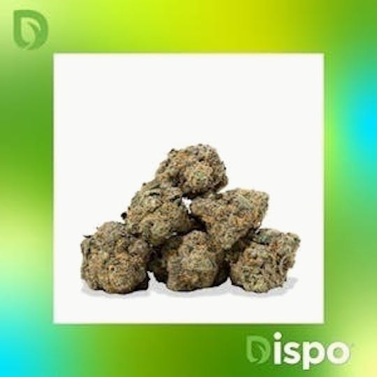 Dispo - Dispo | Buds | Neon Sunshine - 28g - 1