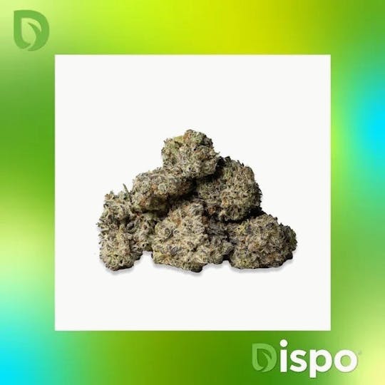 Dispo - Dispo | Buds | Platinum Lemon Cherry Gelato - 14g - 1