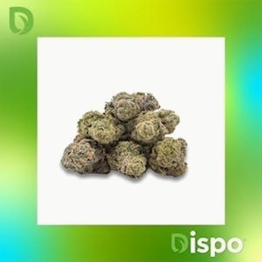 Dispo - Dispo | Buds | Pure Michigan -2g - 1