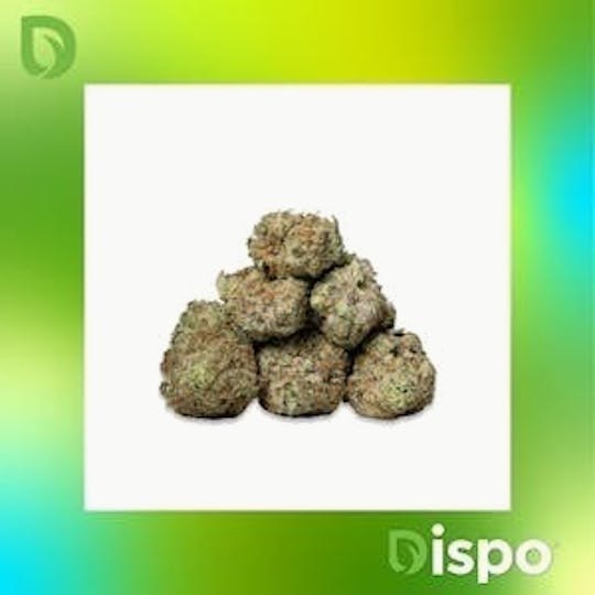 Dispo - Dispo | Buds | Taxi Driver - 28g - 1