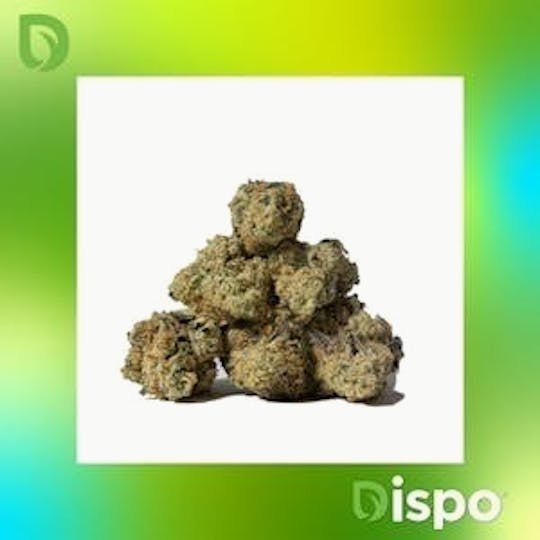 Dispo - Dispo | Buds | Tropical Gushers -14g - 1