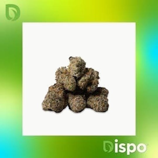 Dispo - Dispo | Buds | Watermelon Gelato - 2g - 1