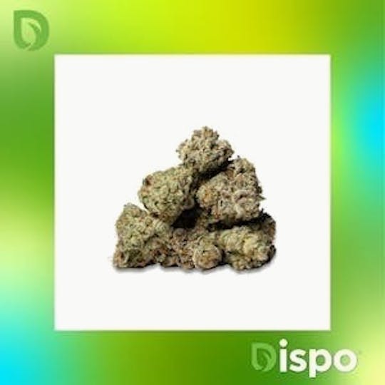 Dispo - Dispo | Buds | White Cherry Gelato - 28g - 1