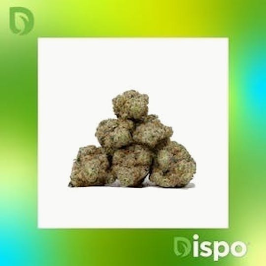 Dispo - Dispo | Buds | Zour Runtz - 14g - 1