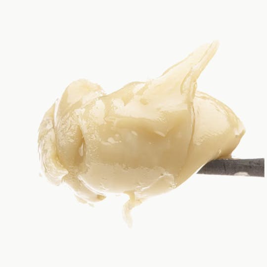 Animal - GUSH MINTZ -1G Live Rosin Cold Cure - 1
