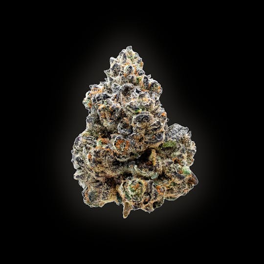 Auraz - Caleta Flower | Cherry Garcia - 1