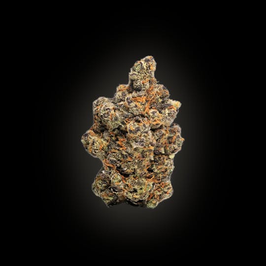 Auraz - Caleta Flower | Smarties - 1