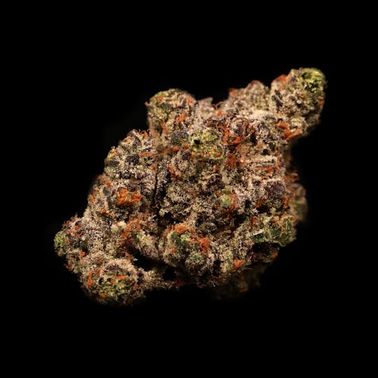 Auraz - Premium Flower | Garlic Icing - 1