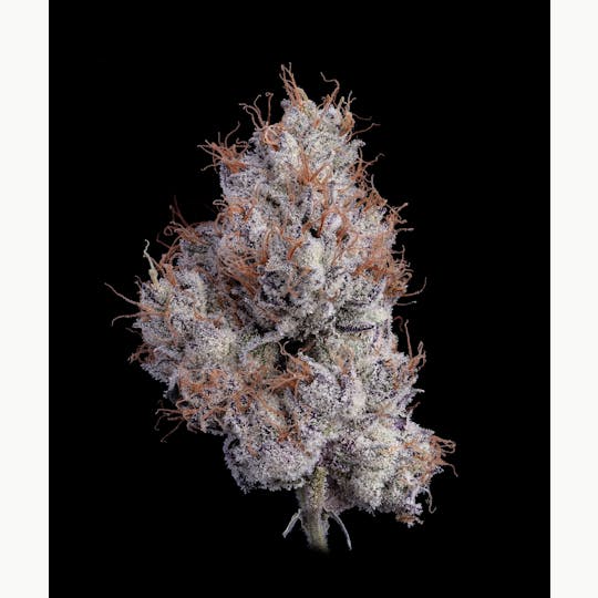 Auraz - Premium Flower | Blue Zushi - 1