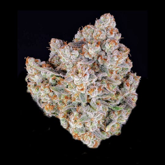 Auraz - Premium Flower | Ice Cream Cake - 1