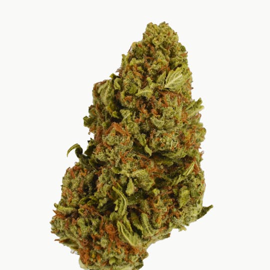Smoakland - Eighthz | Triangle Kush (H) | 3.5g - 1
