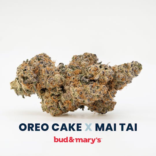 Bud & Mary's - Oreo Cake x Mai Tai - 3.5g - 1