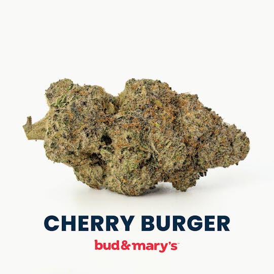 Bud & Mary's - Cherry Burger - 14g - 1