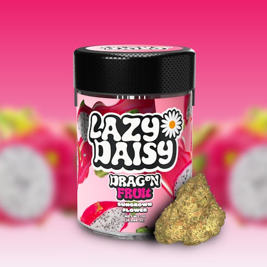 Lazy Daisy - Dragon Fruit | Flower | 7G - 1