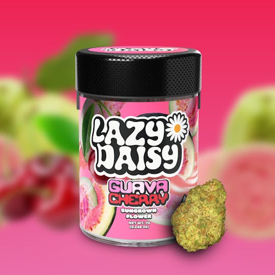 Lazy Daisy - Guava Cherry | Flower | 7G - 1
