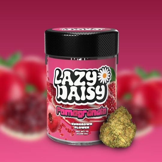 Lazy Daisy - Pomegranate | Flower | 7G - 1