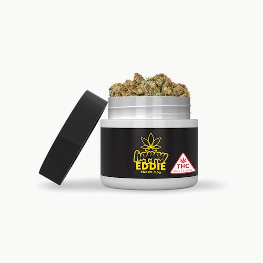 Curio Wellness™ - Happy Eddie | The CEO - 1