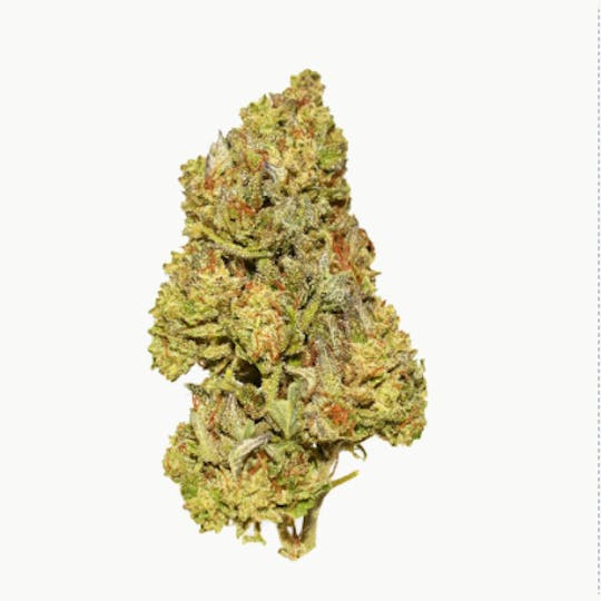 Smoakland - Black - Back to Banana (H) - 14g - 1